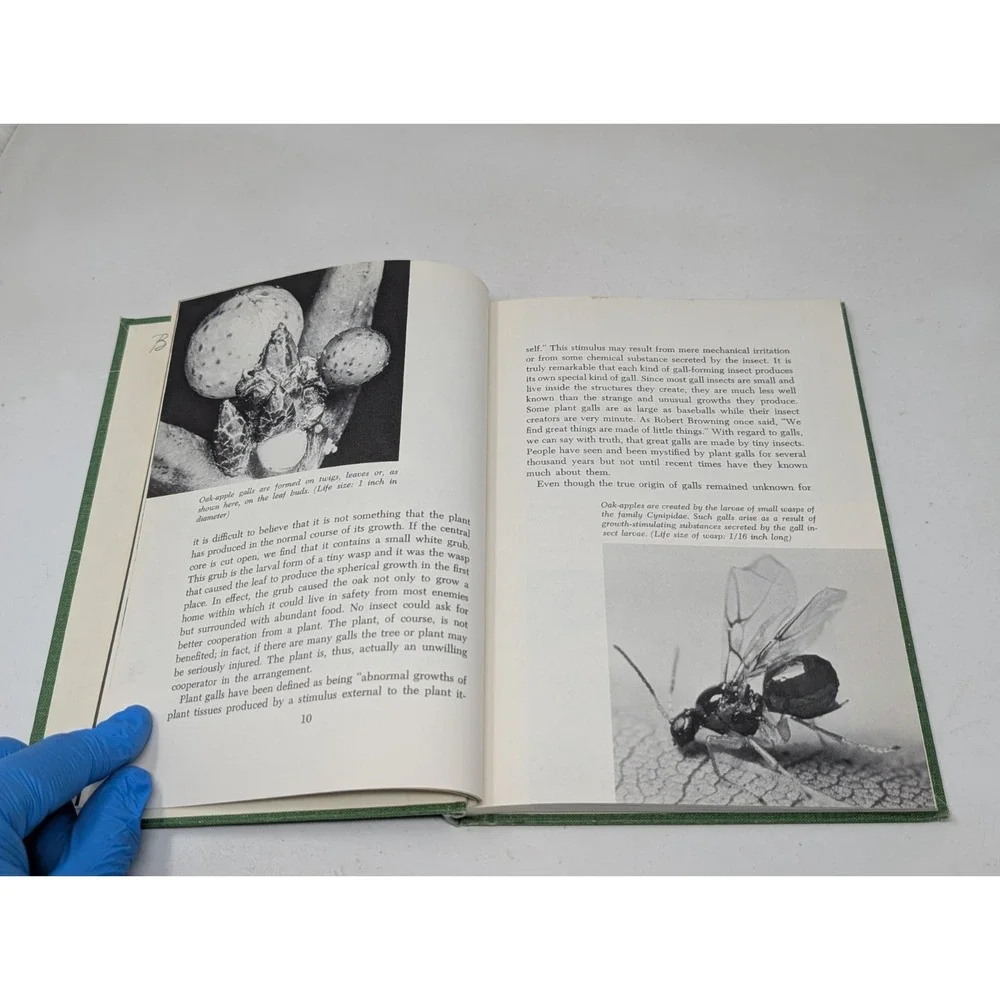 Galls and‎ Gall Insects by Ross E. Hutchins 1st Edition Vintage 1969 60s Book